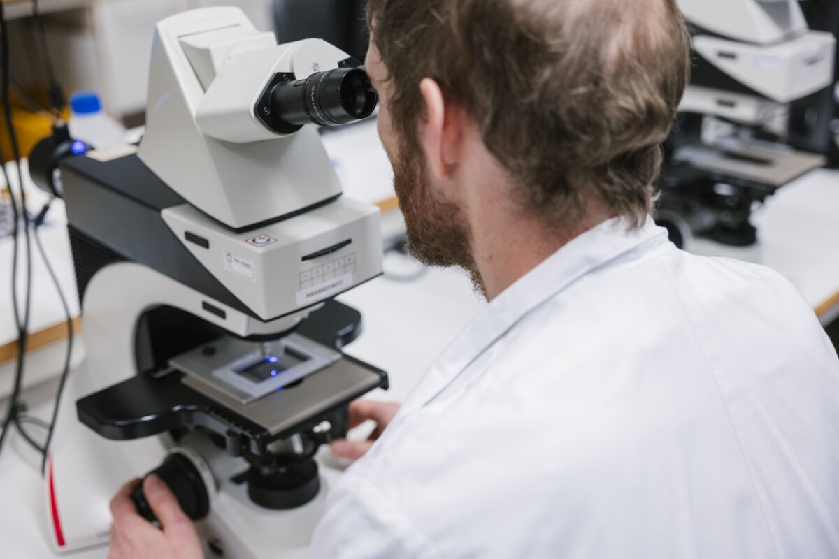 Næringspolitikk og innovasjon