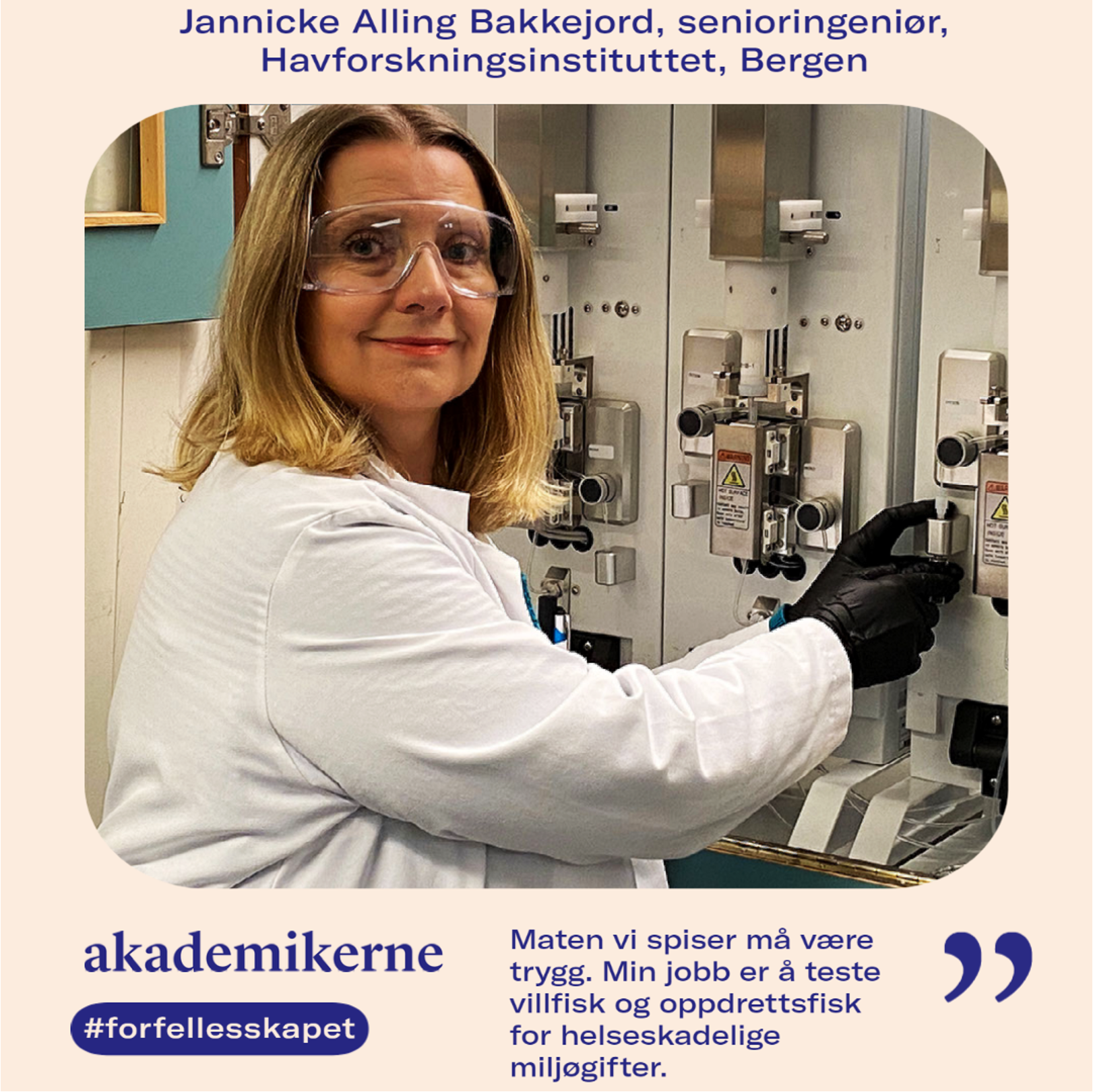 Senioringeniøren
