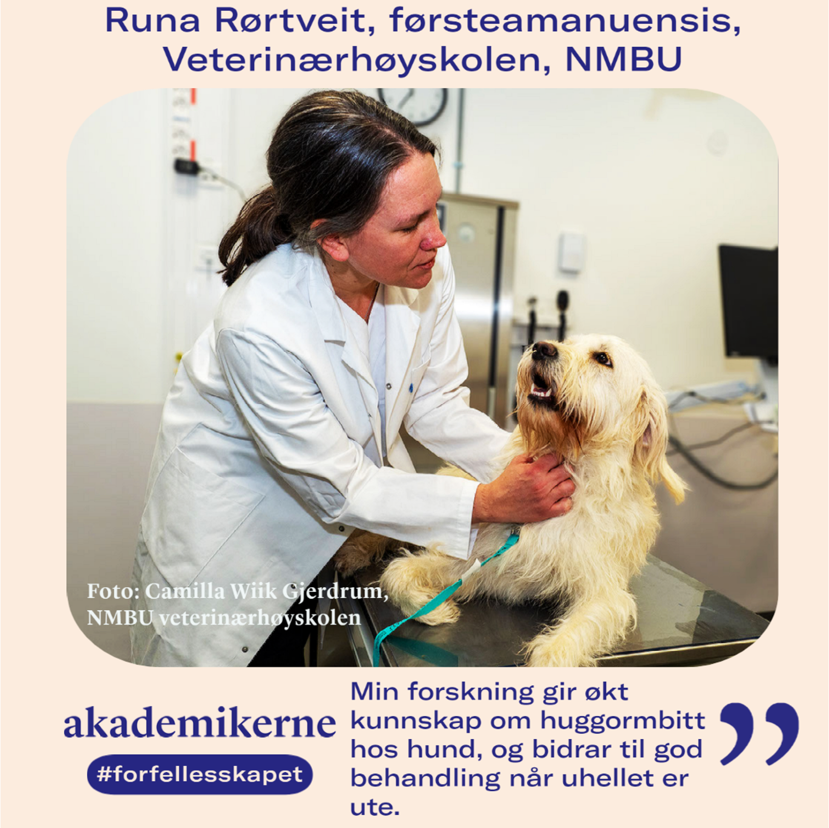 Veterinæren