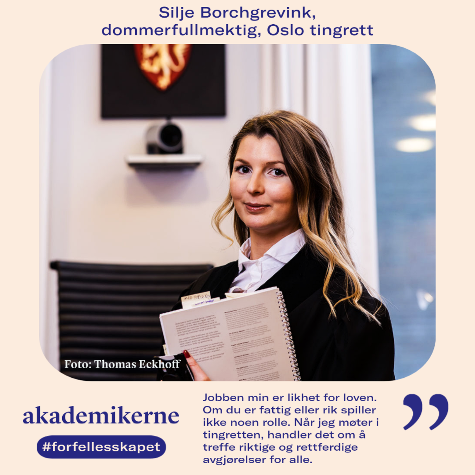 Dommerfullmektigen